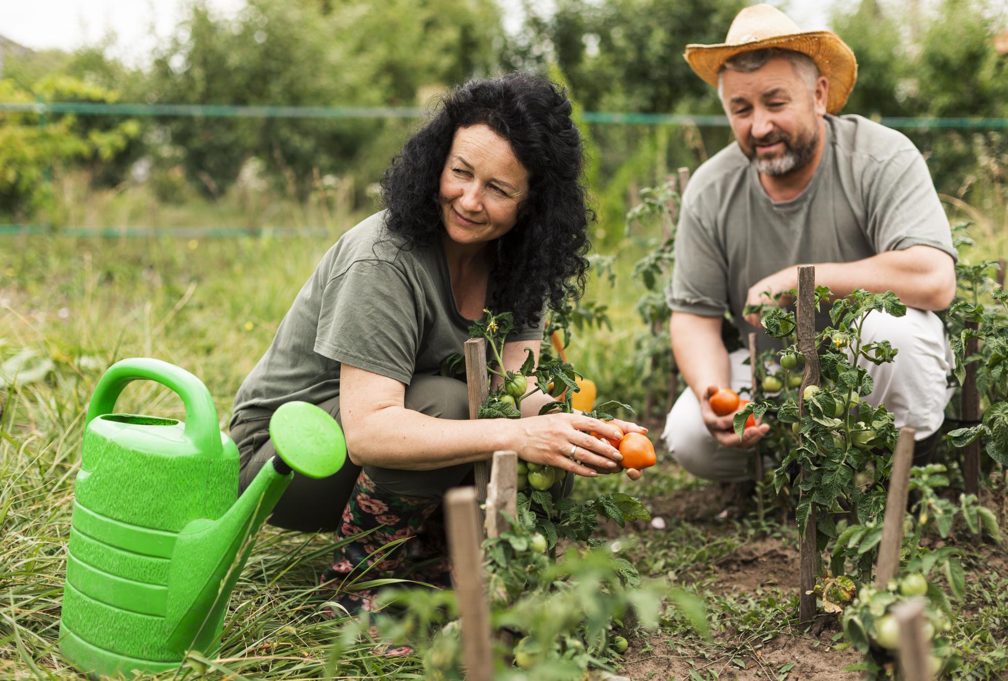 Виживання як тренд: чому феномен Homestead Core захопив TikTok та у чому його секрет